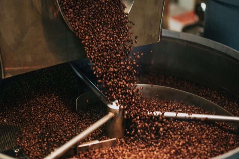Freshly roasted coffee beans being released from a drum roaster into a cooling tray