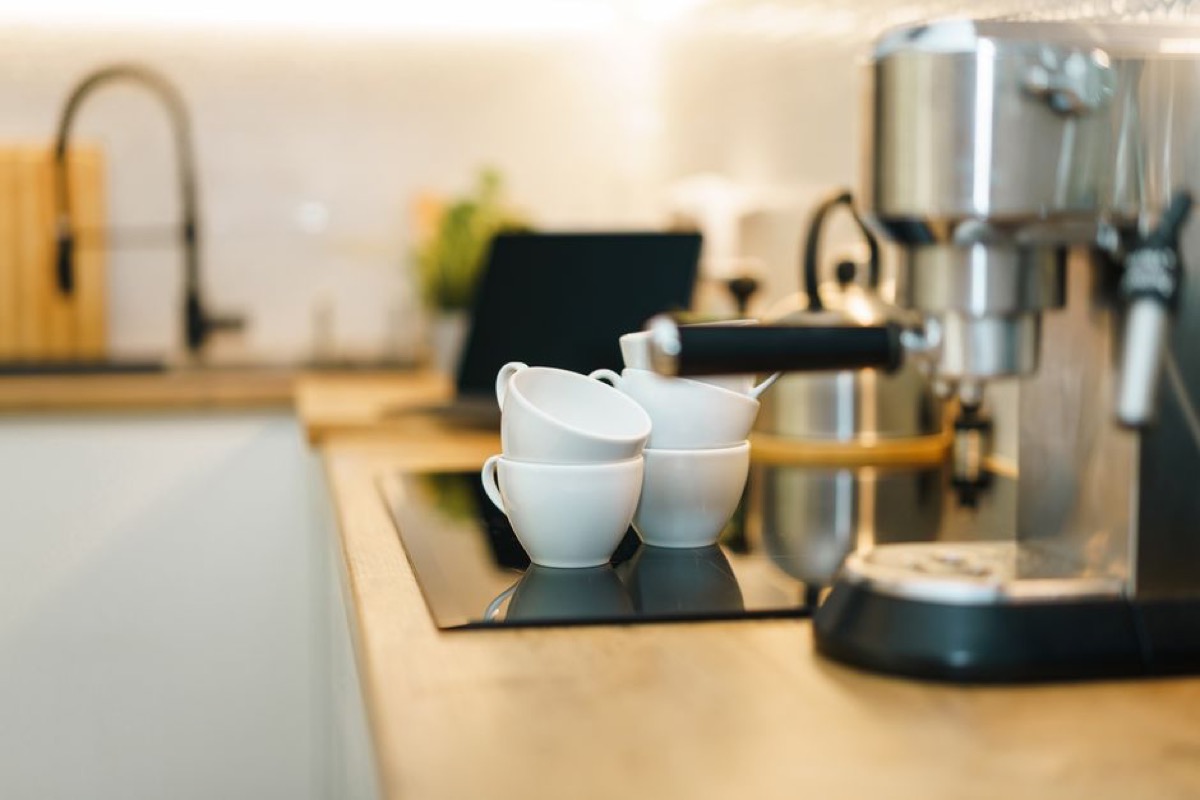 Premium home espresso machine on counter with cup warmer, showcasing prosumer temperature control setup